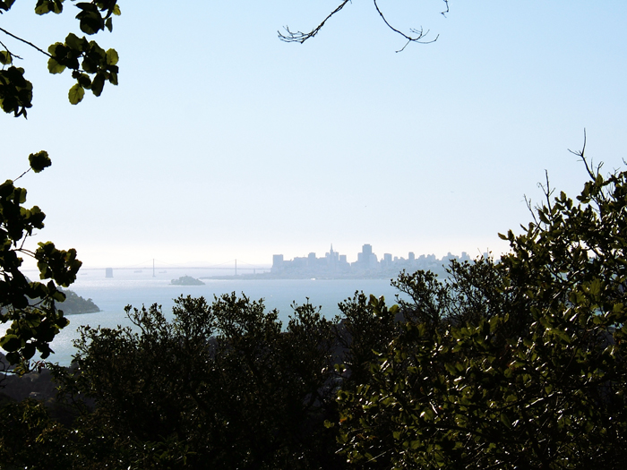 View of San Francisco from Marin County
